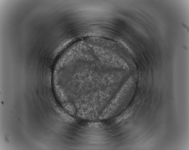 X0000097460446200803141855