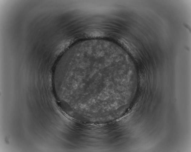 X0000097460447200803141855