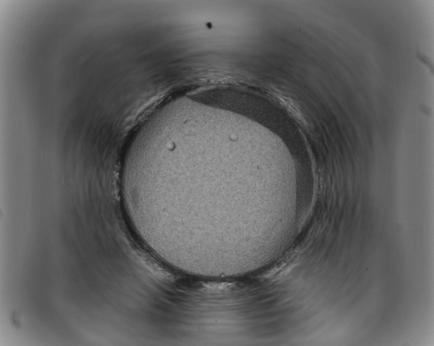 X0000097460450200803141855