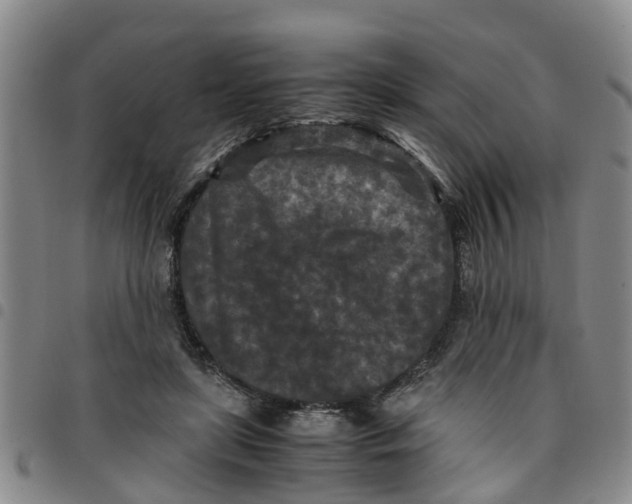 X0000097460451200803141855