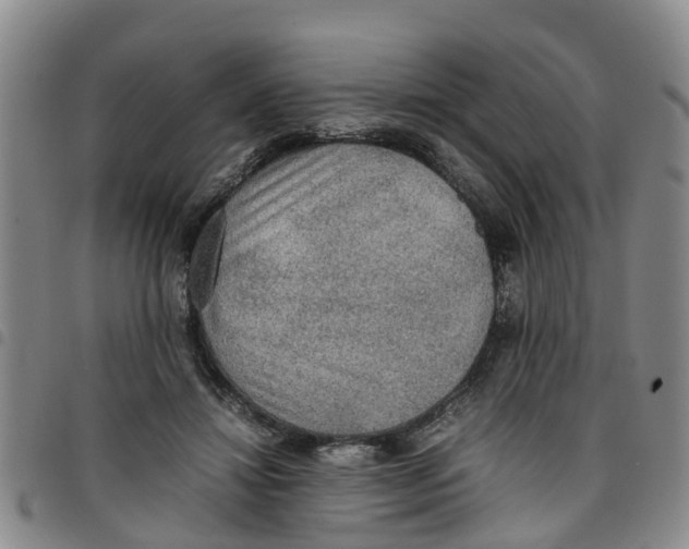 X0000097460452200803141855