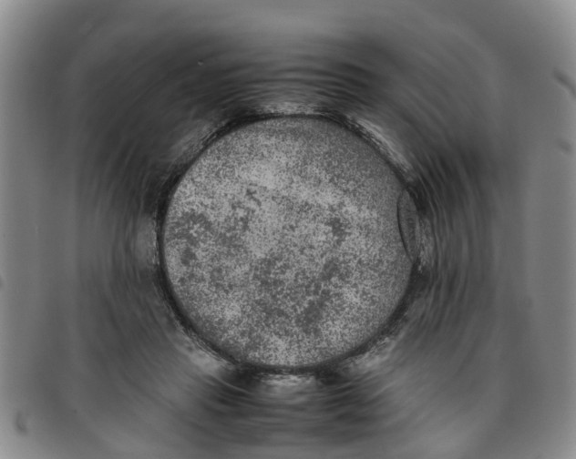 X0000097460453200803141855