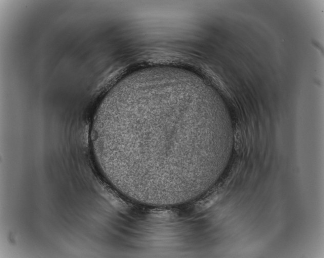 X0000097460454200803141855