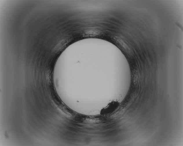 X0000097460455200803141855