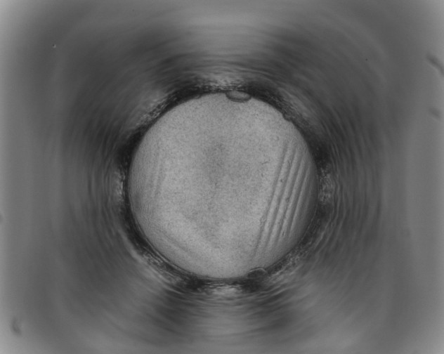 X0000097460456200803141855