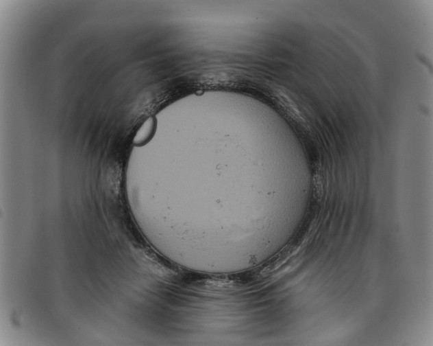 X0000097460458200803141855