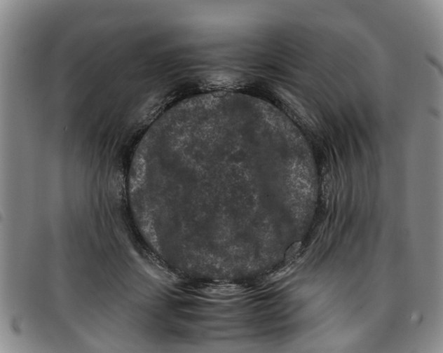 X0000097460459200803141855