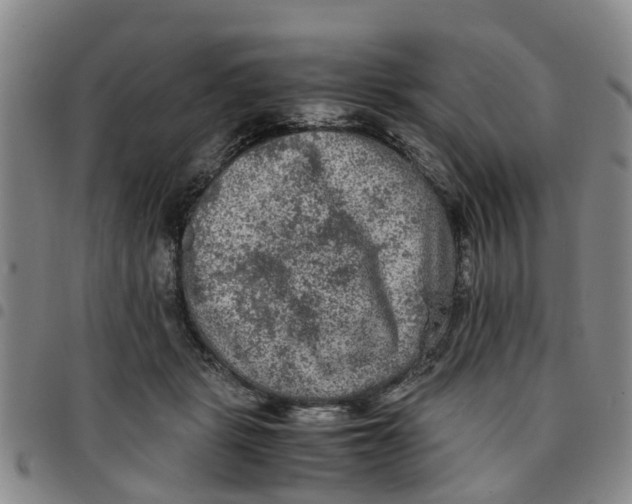 X0000097460461200803141855