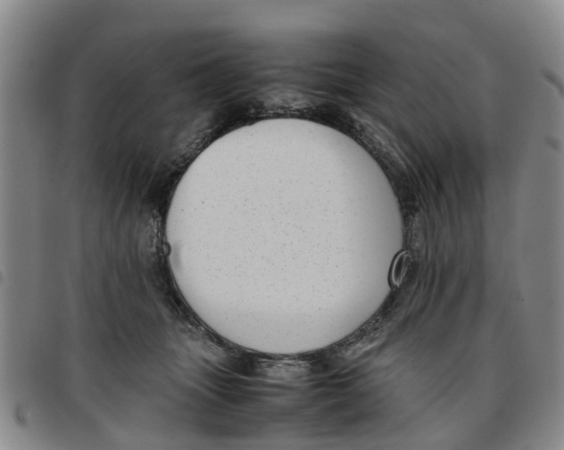 X0000097460463200803141855