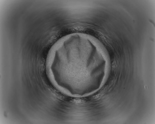 X0000097460464200803141855