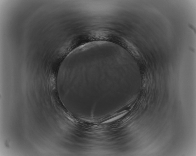 X0000097460465200803141855