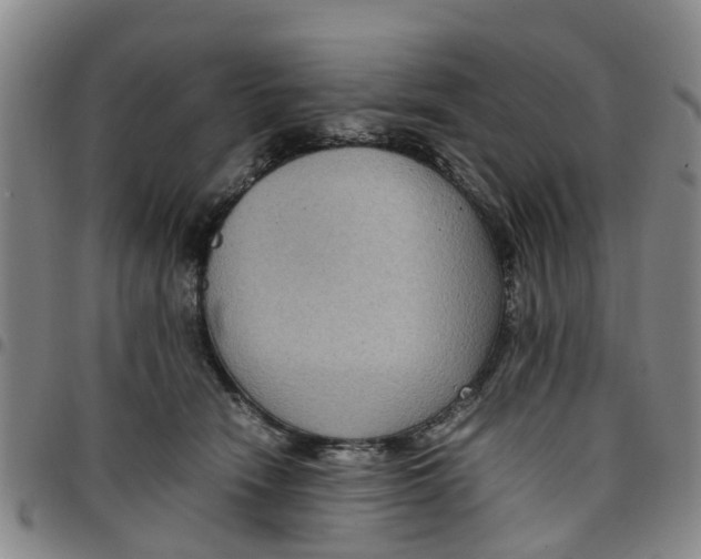 X0000097460466200803141855