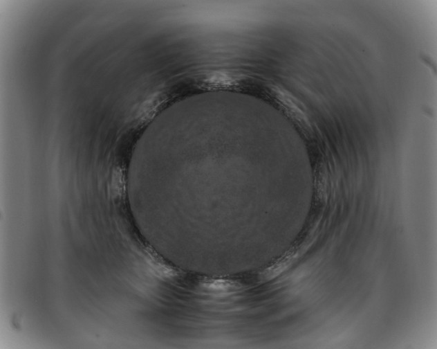 X0000097460467200803141855