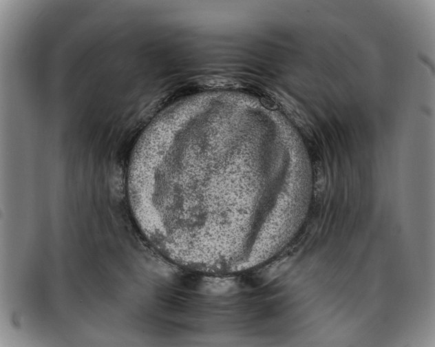 X0000097460469200803141855