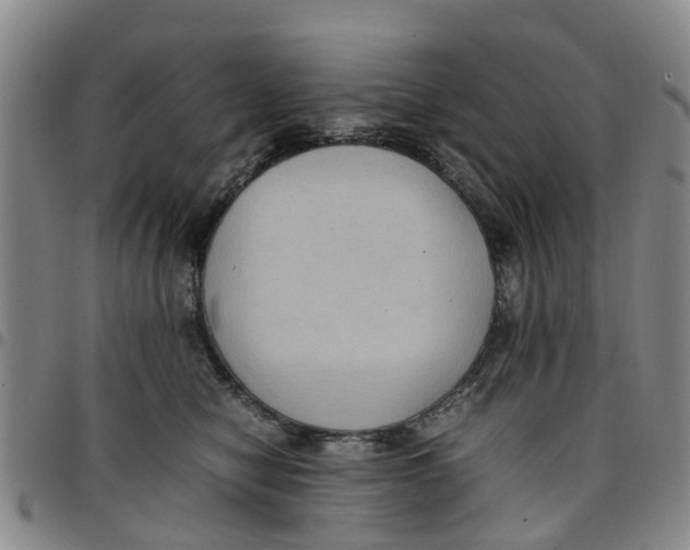 X0000097460470200803141855