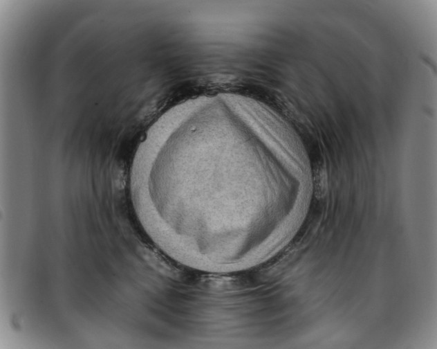 X0000097460472200803141855