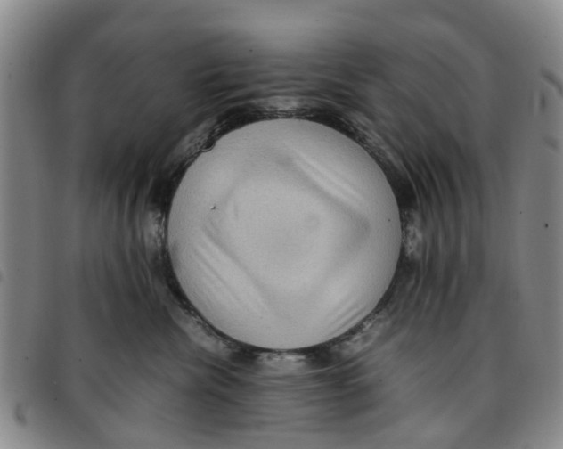 X0000097460476200803141855