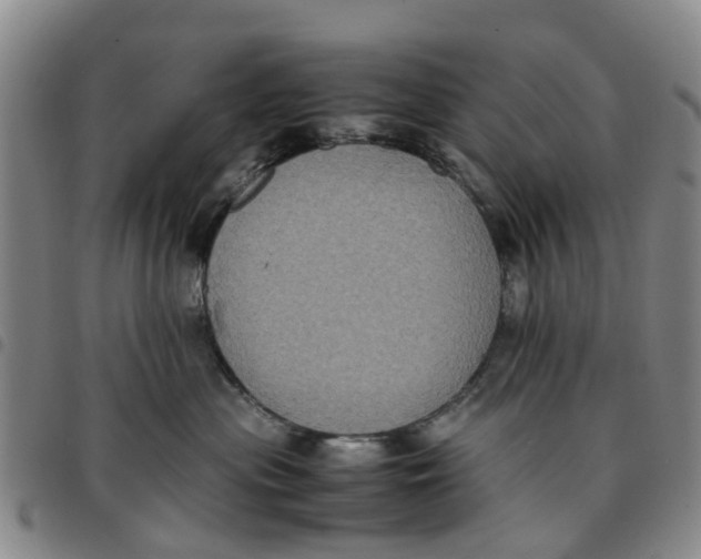 X0000097460477200803141855