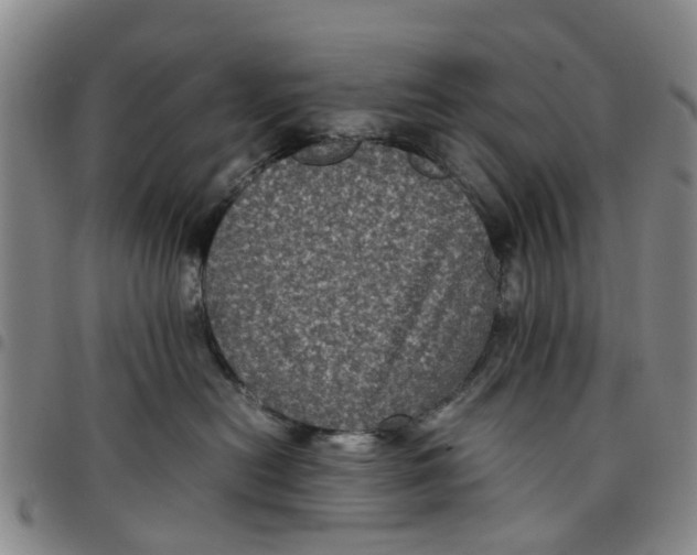 X0000097460478200803141855