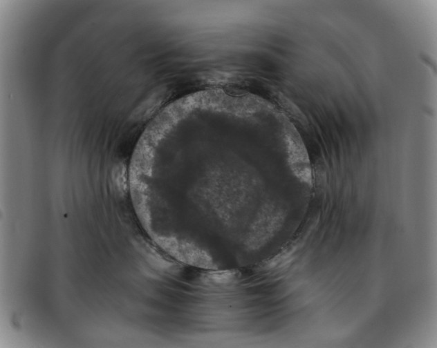 X0000097460479200803141855