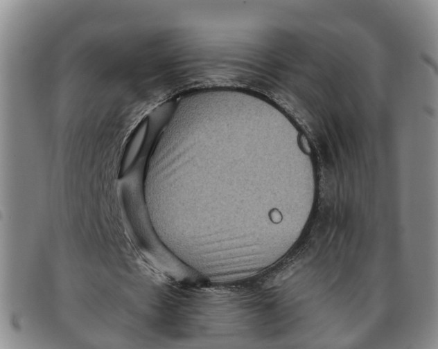 X0000097460481200803141855