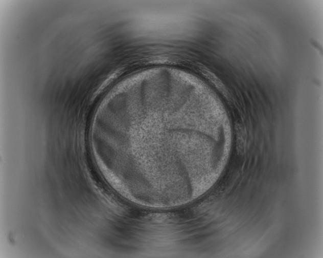 X0000097460482200803141855