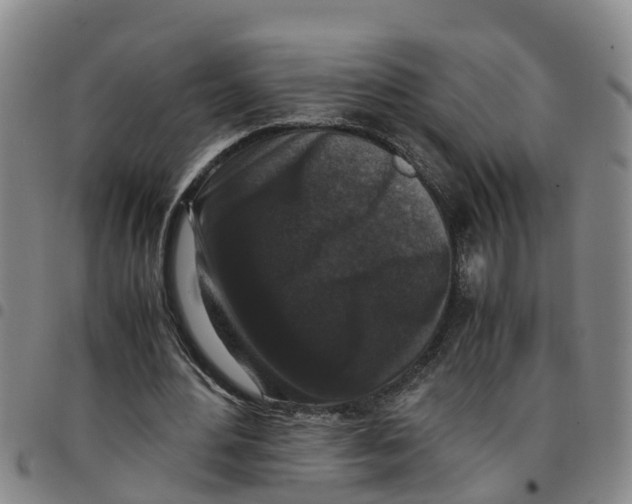 X0000097460484200803141855