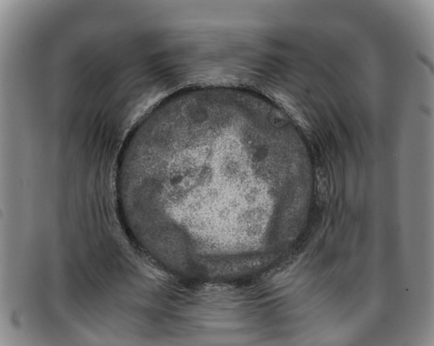 X0000097460487200803141855