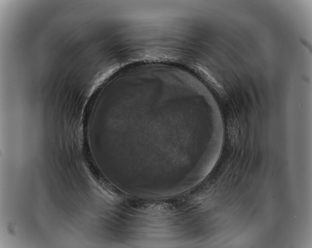 X0000097460488200803141855