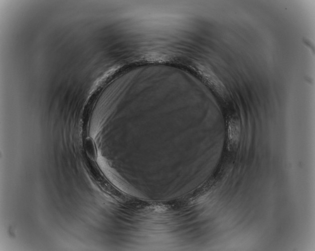 X0000097460492200803141855