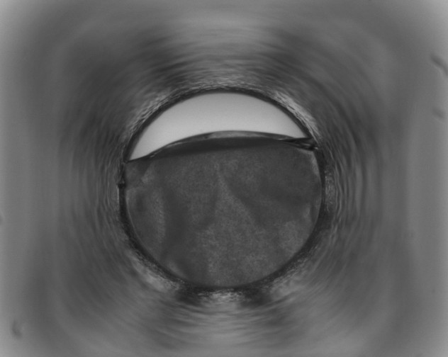 X0000097460493200803141855