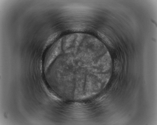 X0000097460494200803141855