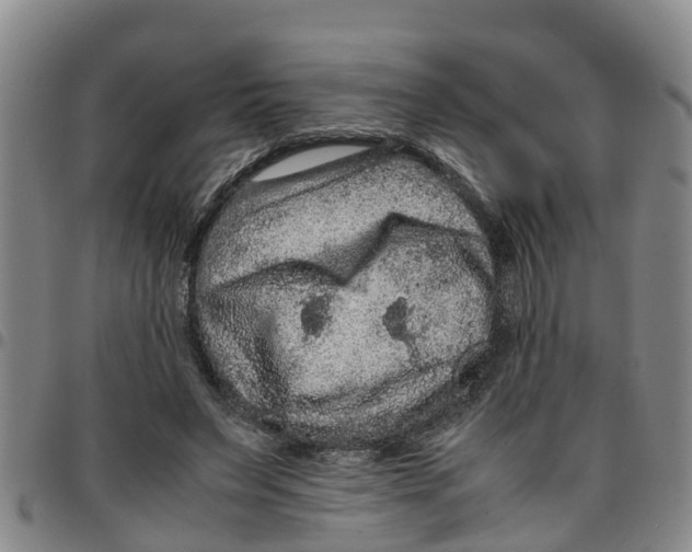 X0000097460495200803141855