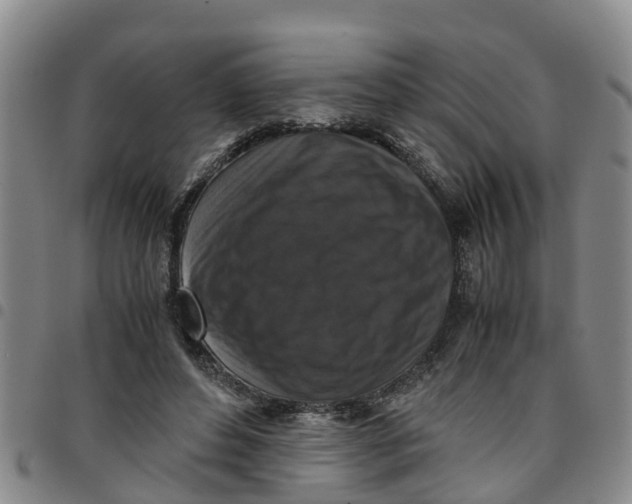 X0000097460496200803141855