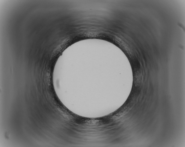 X0000097460497200803141855