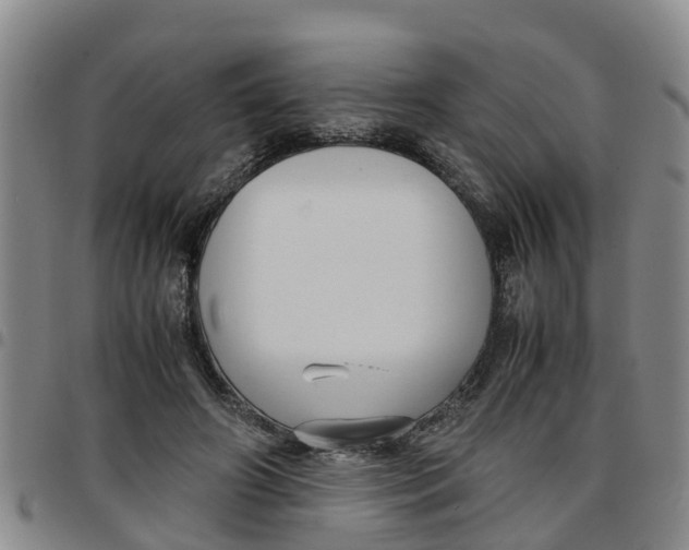 X0000097460498200803141855