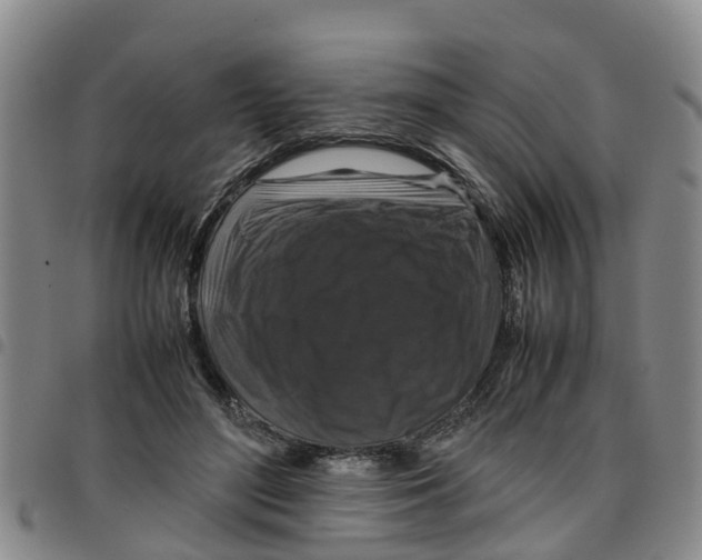 X0000097460500200803141855