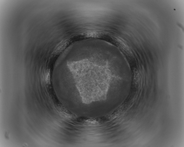 X0000097460502200803141855