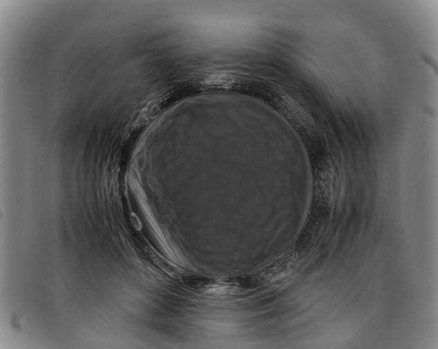 X0000097460504200803141854