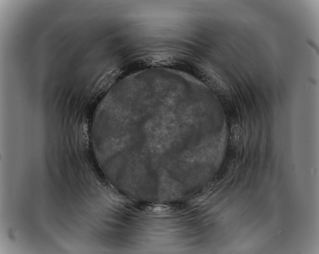 X0000097460506200803141854