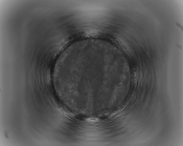 X0000097460508200803141854