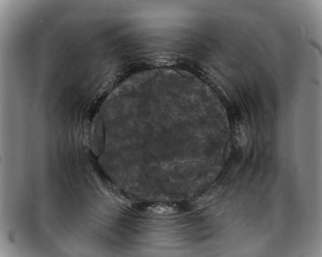 X0000097460512200803141854