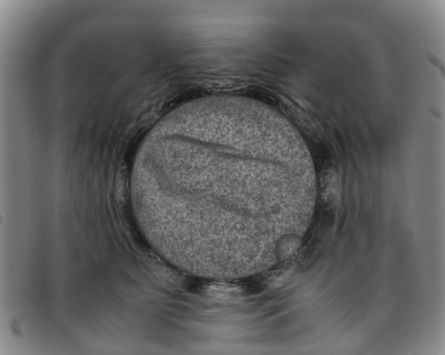 X0000097460515200803141854