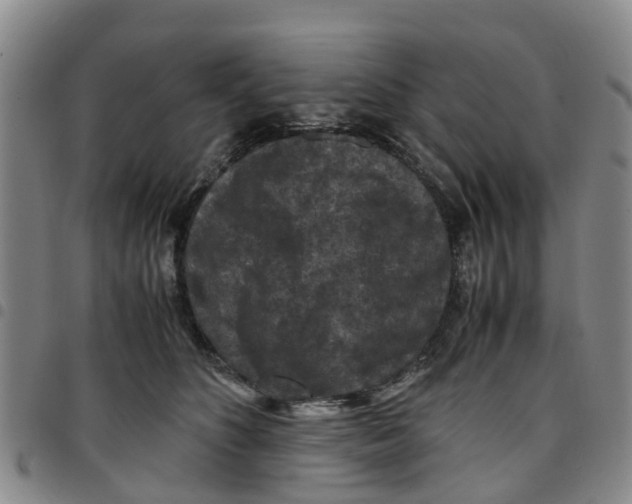 X0000097460516200803141854