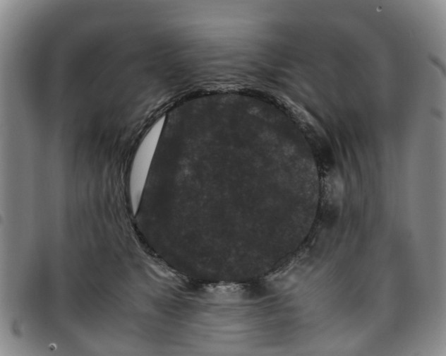 X0000097460517200803141854