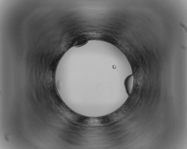 X0000097460518200803141854