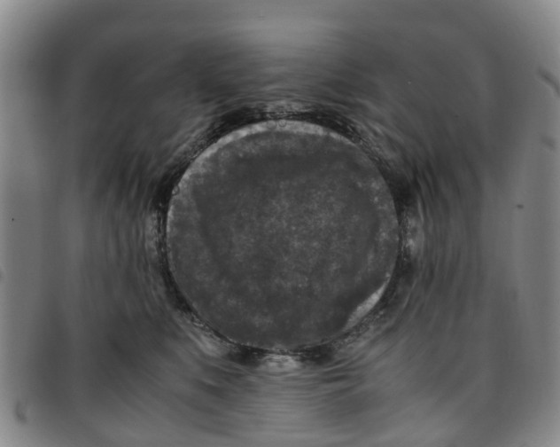 X0000097460519200803141854