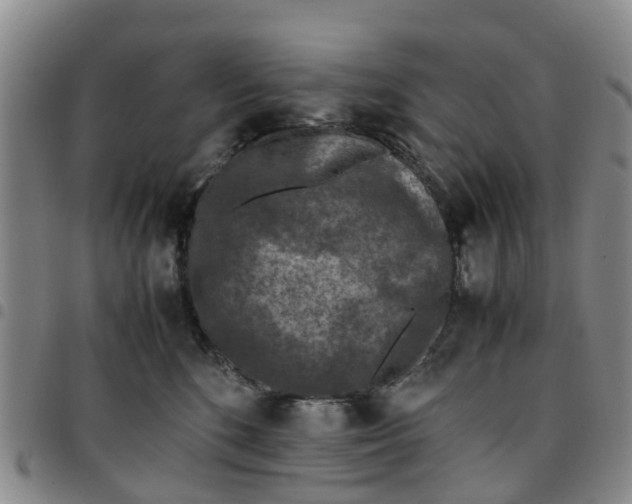 X0000097460520200803141854