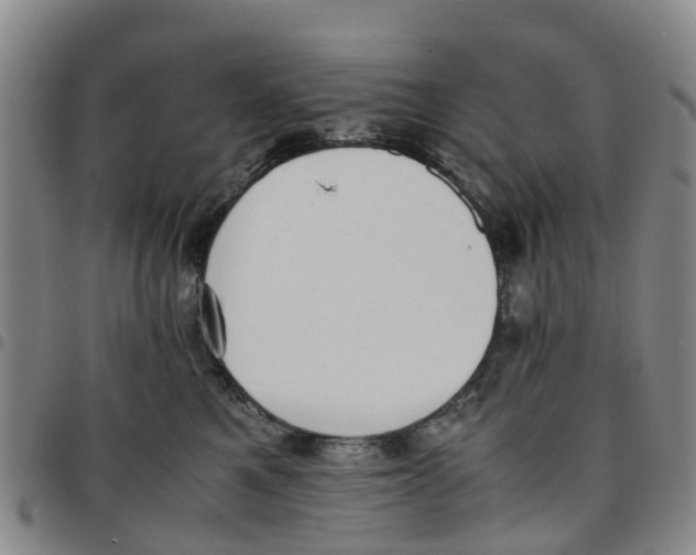 X0000097460521200803141854