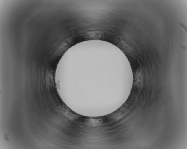 X0000097460522200803141854